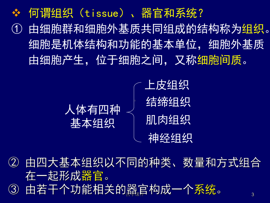 组织学与胚胎学(绪论)-课件.ppt_第3页