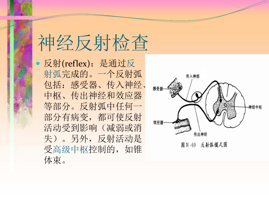 病理反射和脑膜刺激征课件1.ppt_第2页