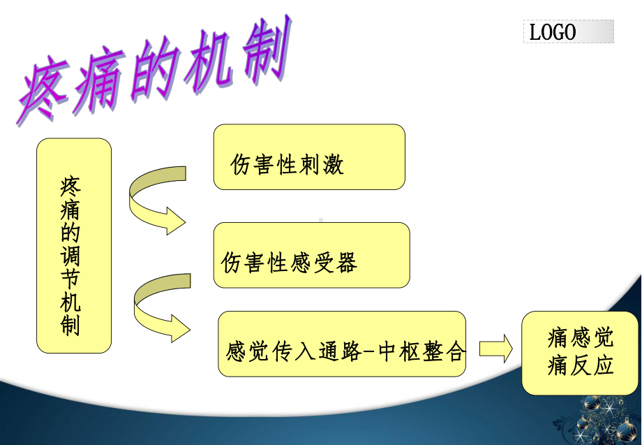 疼痛的机制课件.ppt_第2页