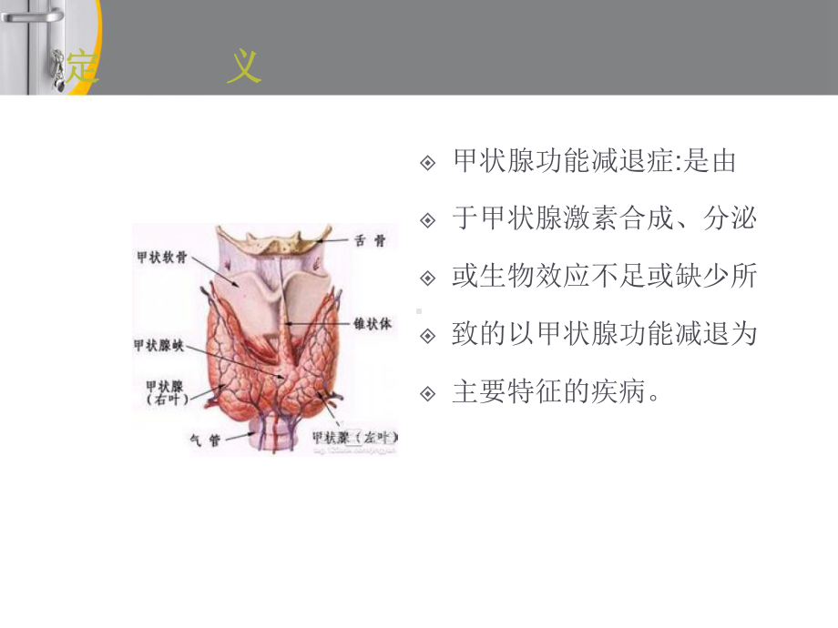 甲减护理查房-课件.ppt_第3页