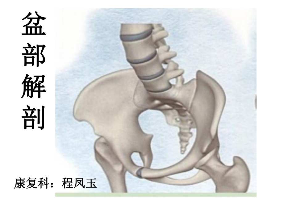 盆部功能解剖副本课件.pptx_第1页