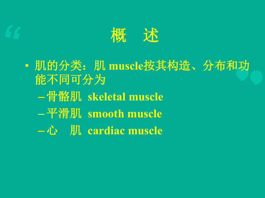 肌学教学讲解课件.ppt_第2页