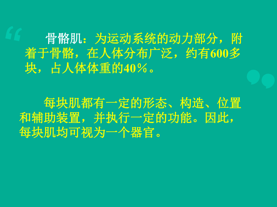 肌学教学讲解课件.ppt_第3页