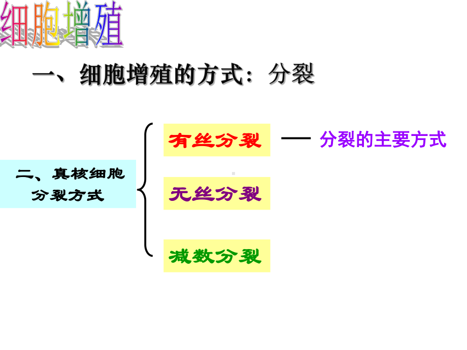 细胞增殖45-苏教版课件.ppt_第3页