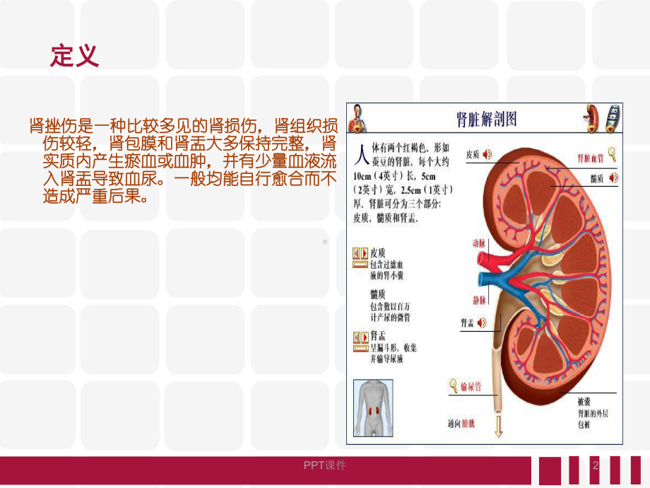 肾挫伤病人的护理查房-课件.ppt_第2页