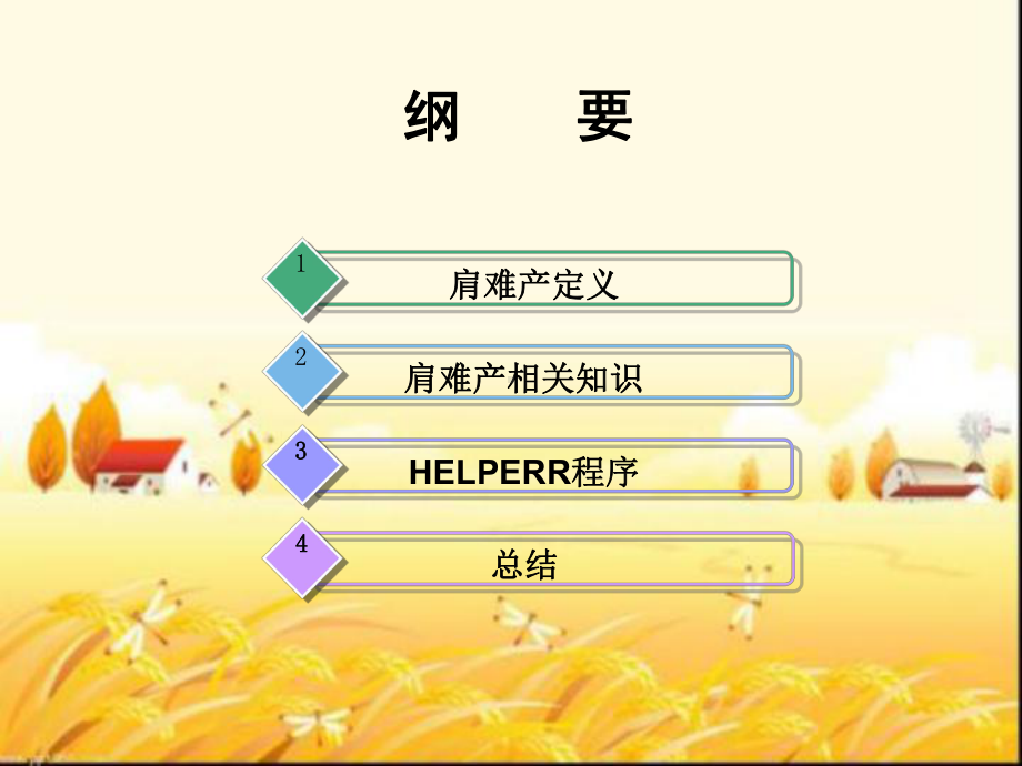 肩难产培训课件-.ppt_第2页