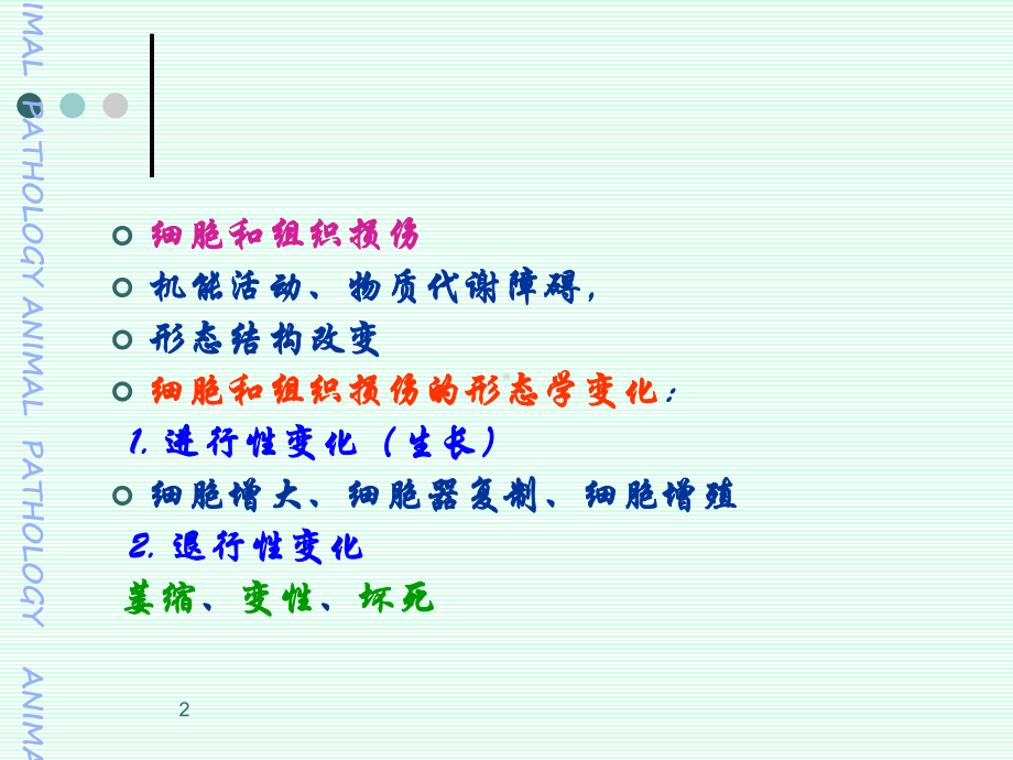 组织与细胞损伤课件.ppt_第2页