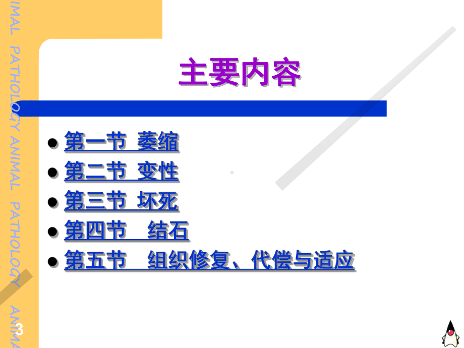 组织与细胞损伤课件.ppt_第3页