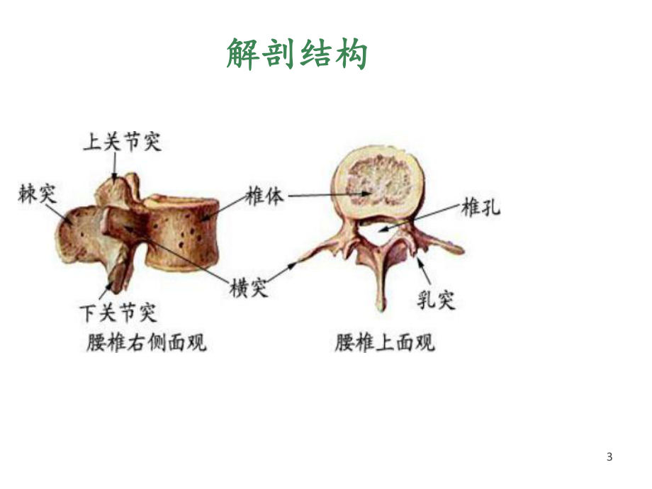 腰椎压缩性骨折护理查房-课件.ppt_第3页