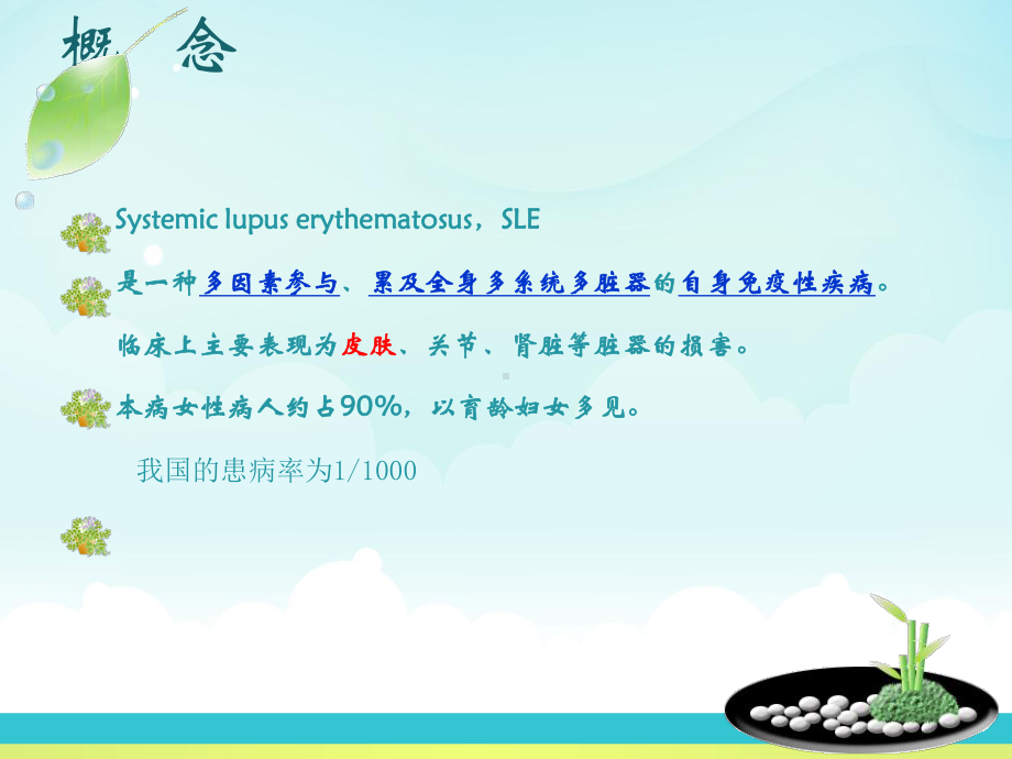 系统性红斑狼疮-课件.ppt_第2页