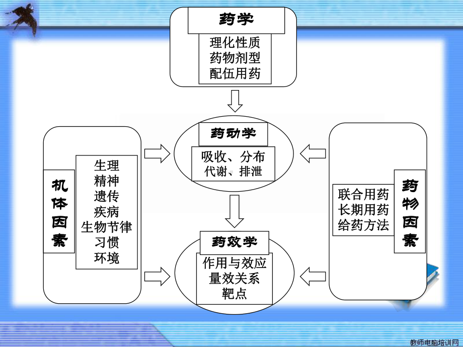 药理学教学(汕头大学)影响药物作用的因素pp课件.ppt_第2页