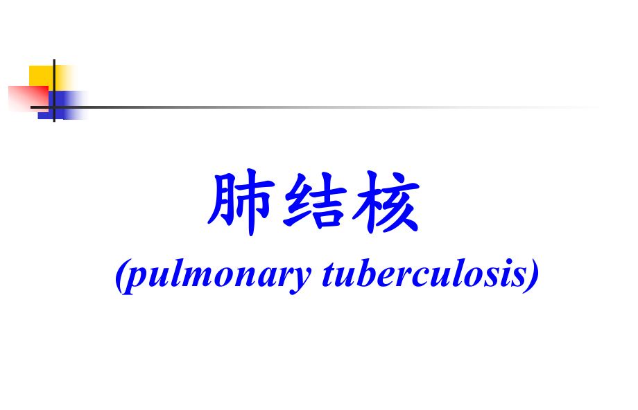 肺结核--本科课件.ppt_第3页