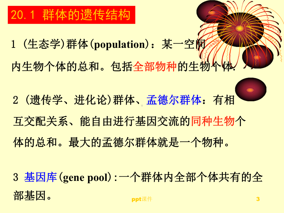 群体遗传分析-课件.ppt_第3页