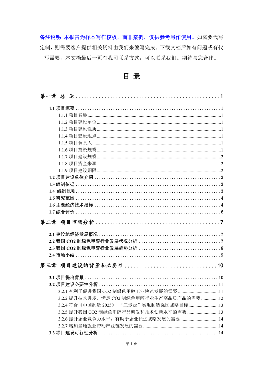 CO2制绿色甲醇项目可行性研究报告写作模板立项备案文件.doc_第2页