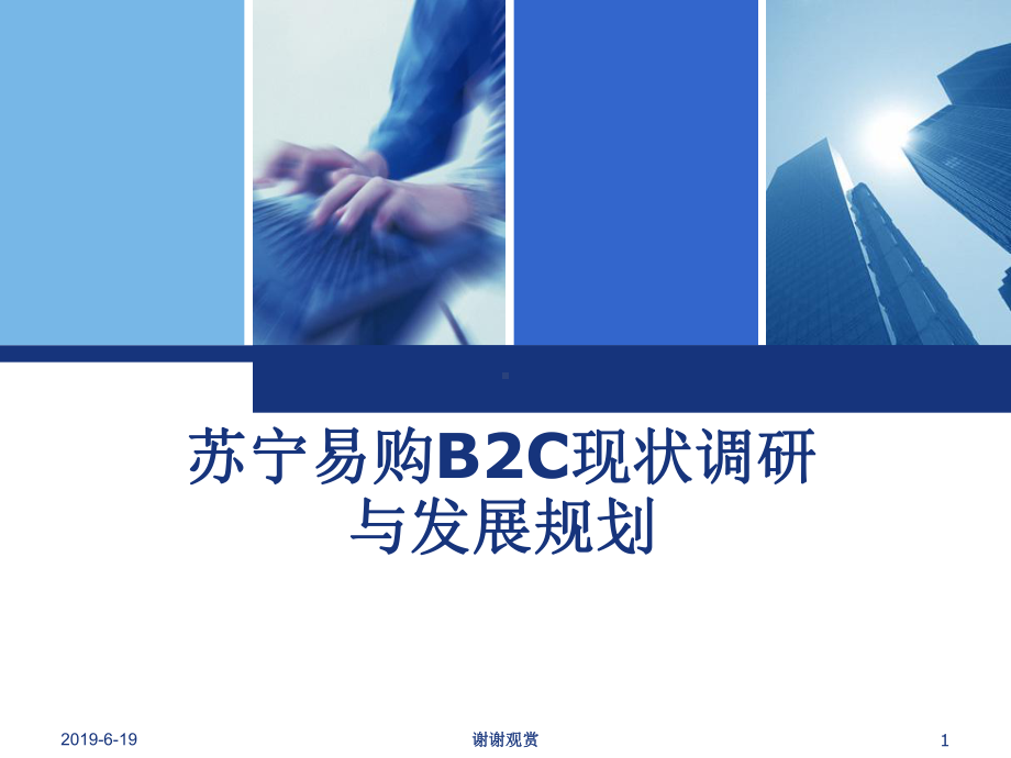 苏宁易购B2C现状调研与发展规划课件.pptx_第1页