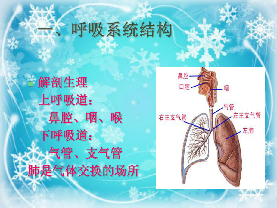 肺炎的诊断治疗-课件.ppt_第2页