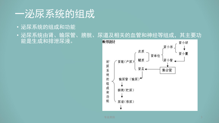 肾损伤的护理(优质荟萃)课件.ppt_第3页