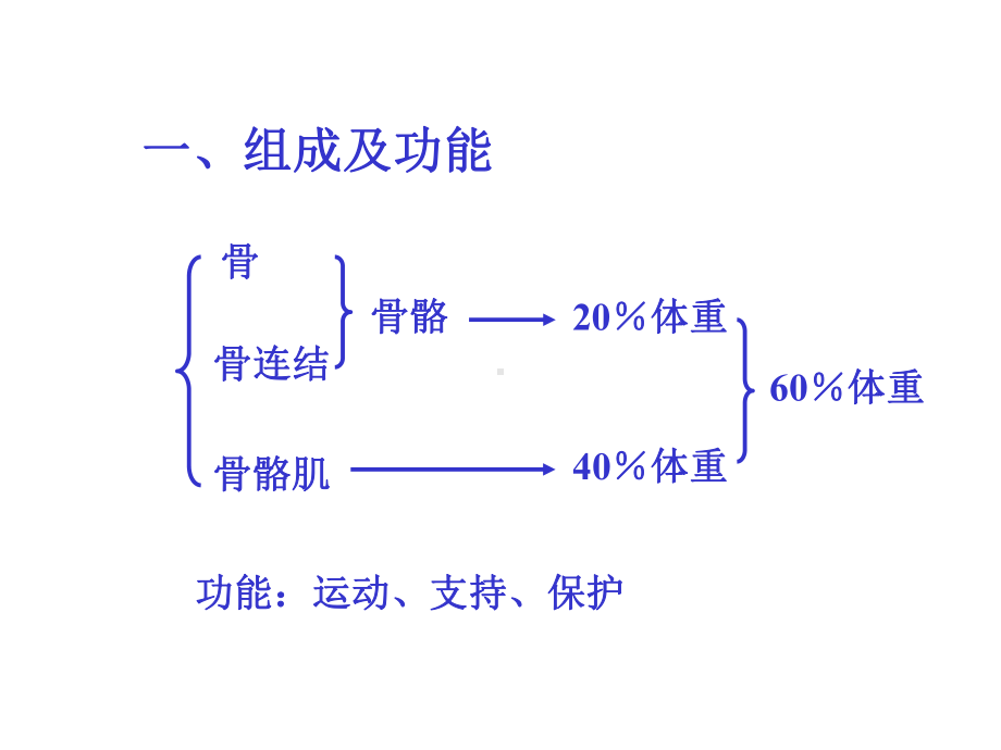 系统解剖学-骨与骨连结课件.ppt_第3页