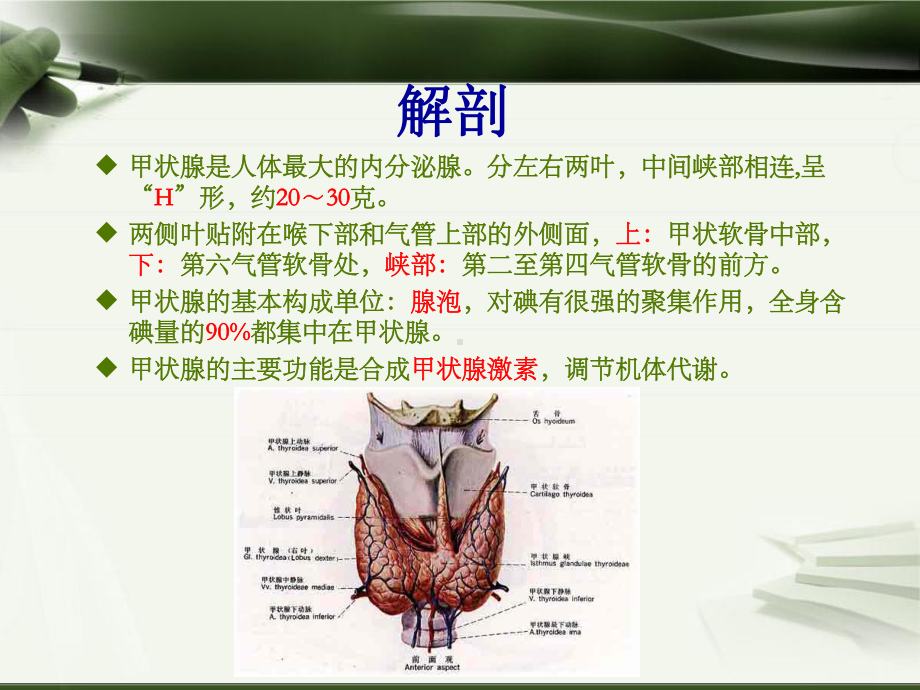 甲状腺肿瘤课件(同名1524).ppt_第2页