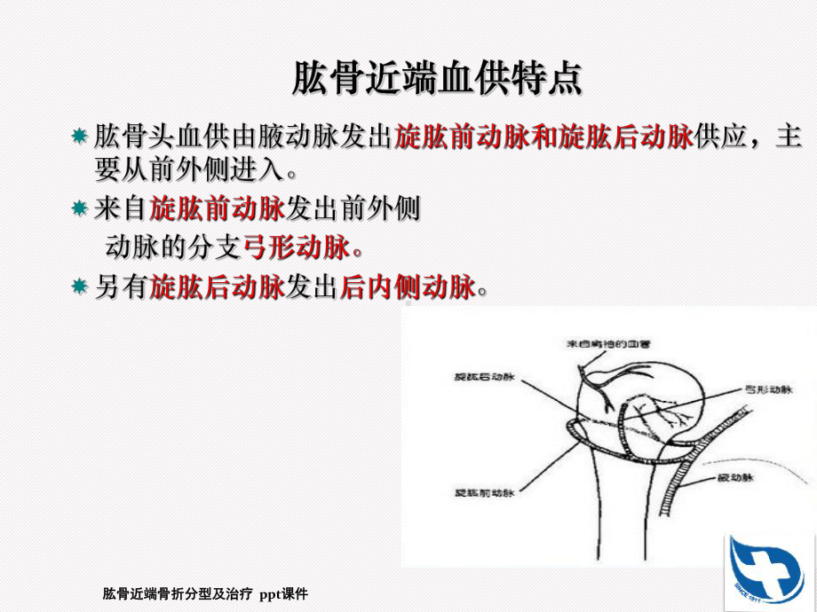 肱骨近端骨折分型及治疗-课件.ppt_第3页