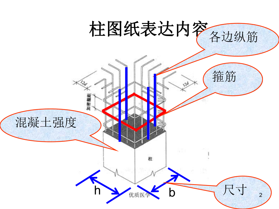 结构识图-柱[详尽整齐]课件.ppt_第2页