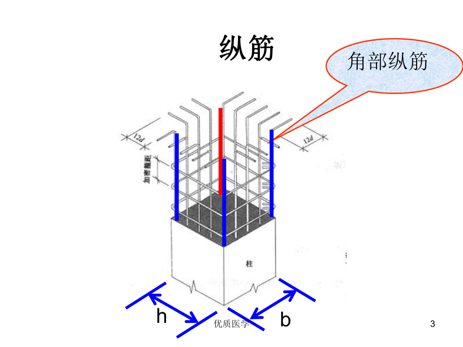 结构识图-柱[详尽整齐]课件.ppt_第3页