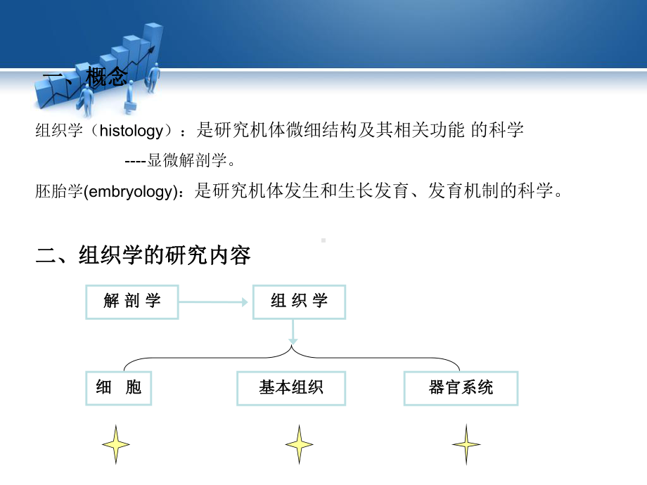 组织学和胚胎学-课件.ppt_第2页