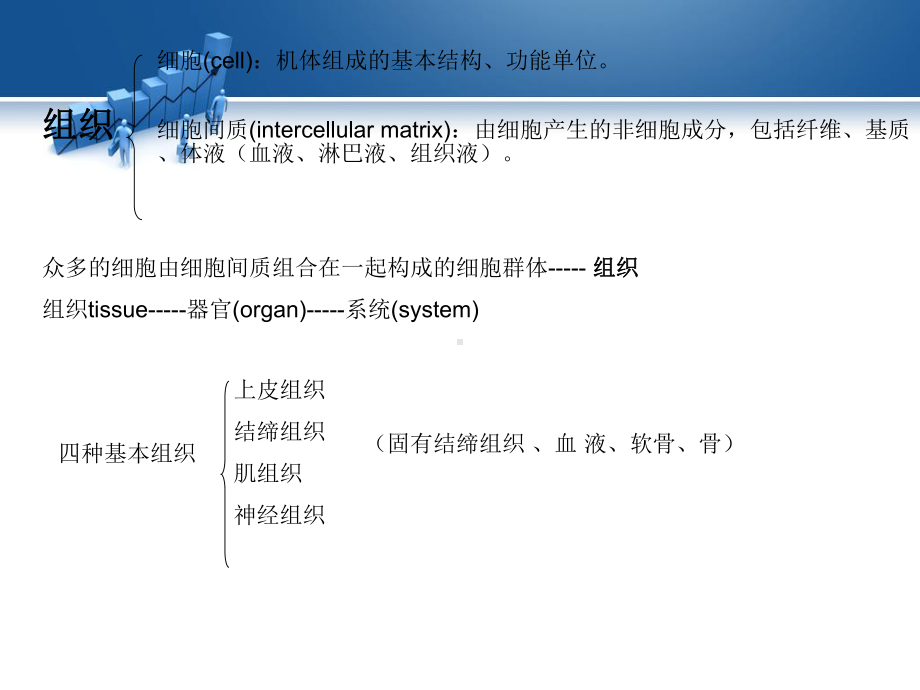 组织学和胚胎学-课件.ppt_第3页