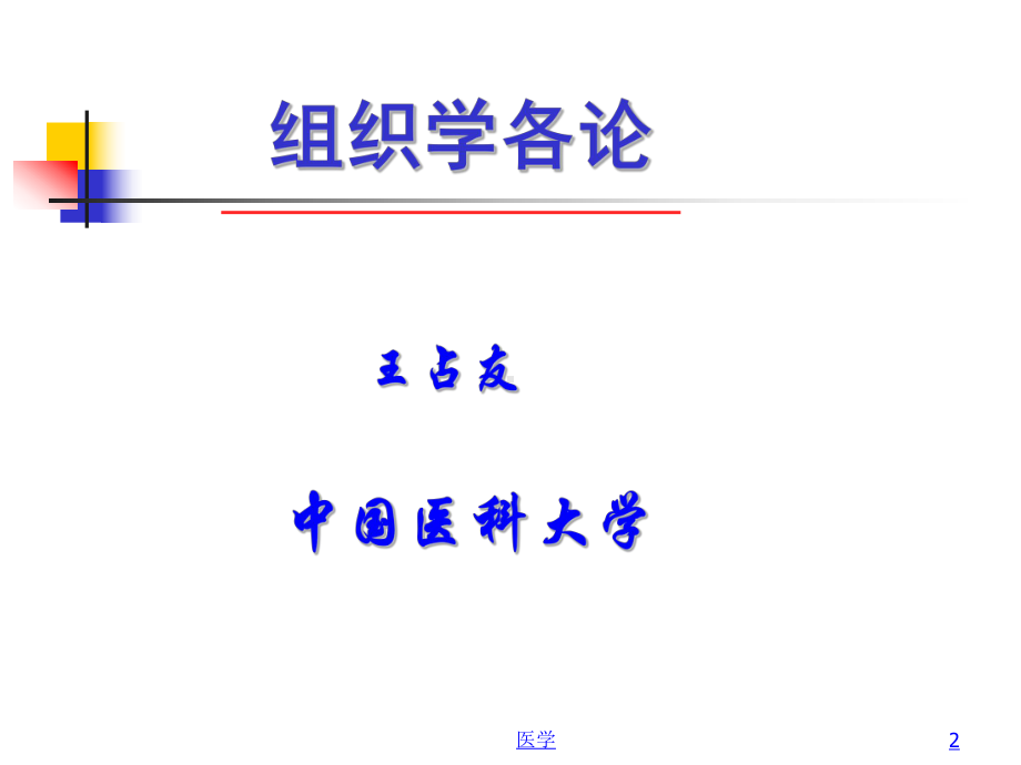 组织胚胎学-循环系统-课件.ppt_第2页