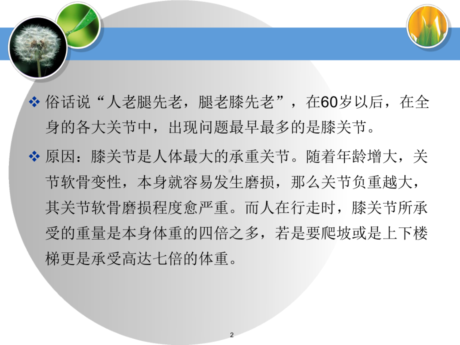 膝关节健康教育教学课件.ppt_第2页