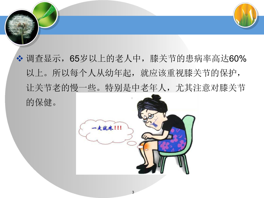 膝关节健康教育教学课件.ppt_第3页