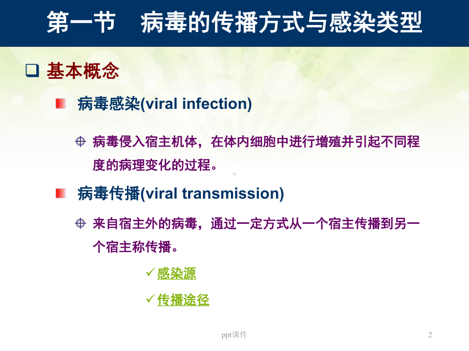 病毒感染与致病机制-课件.ppt_第2页