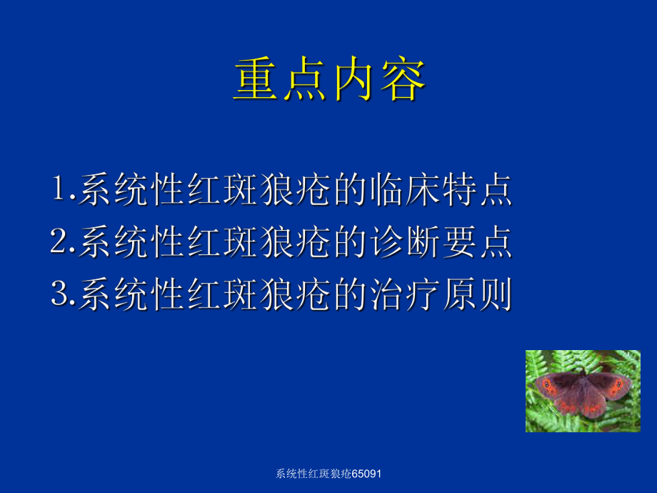 系统性红斑狼疮65091-课件.ppt_第2页