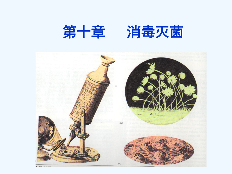 第十章--微生物的分布与消毒灭菌课件.ppt_第1页