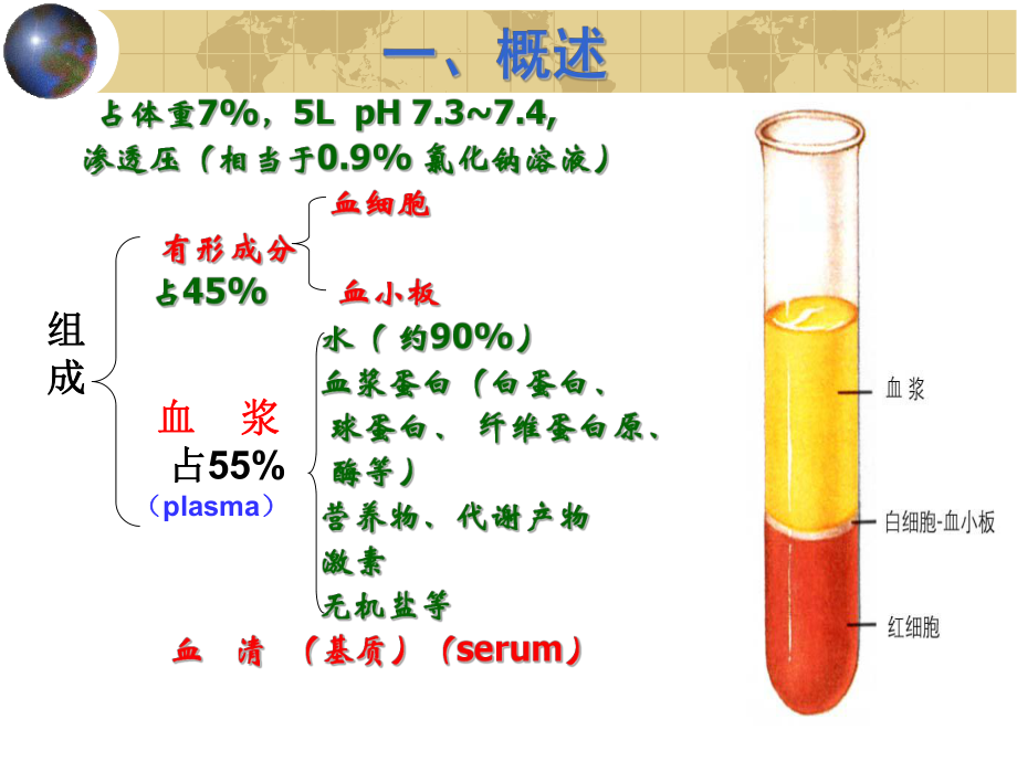 组织学与胚胎学-血液-课件.ppt_第2页