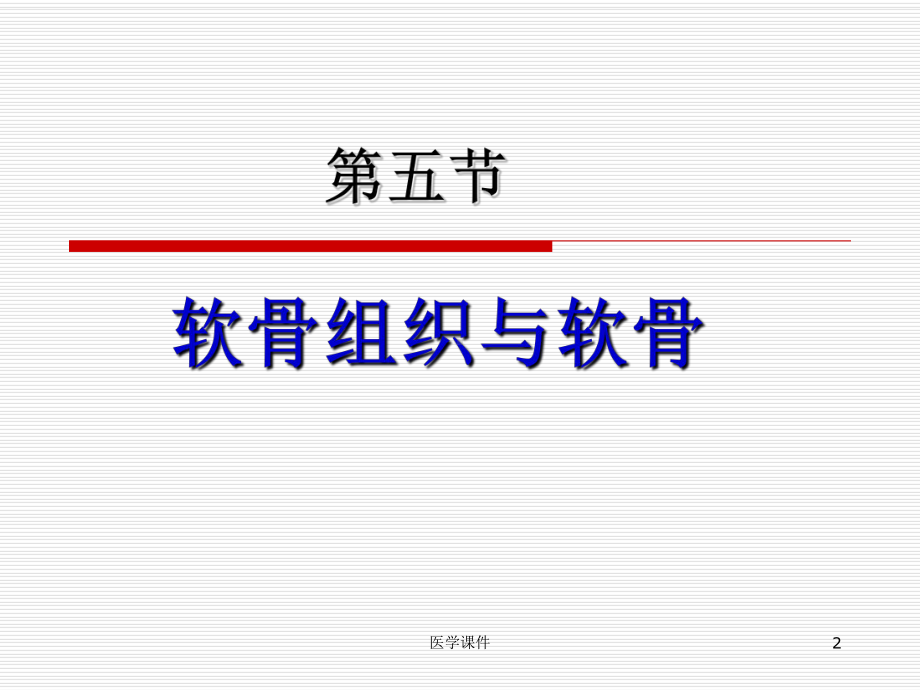 组织学与胚胎学-结缔组织-课件.ppt_第2页