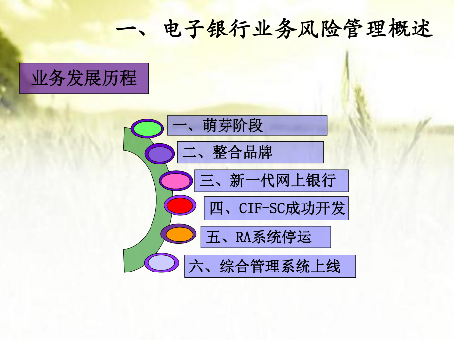 电子银行业务风险管理培训课件-.ppt_第3页