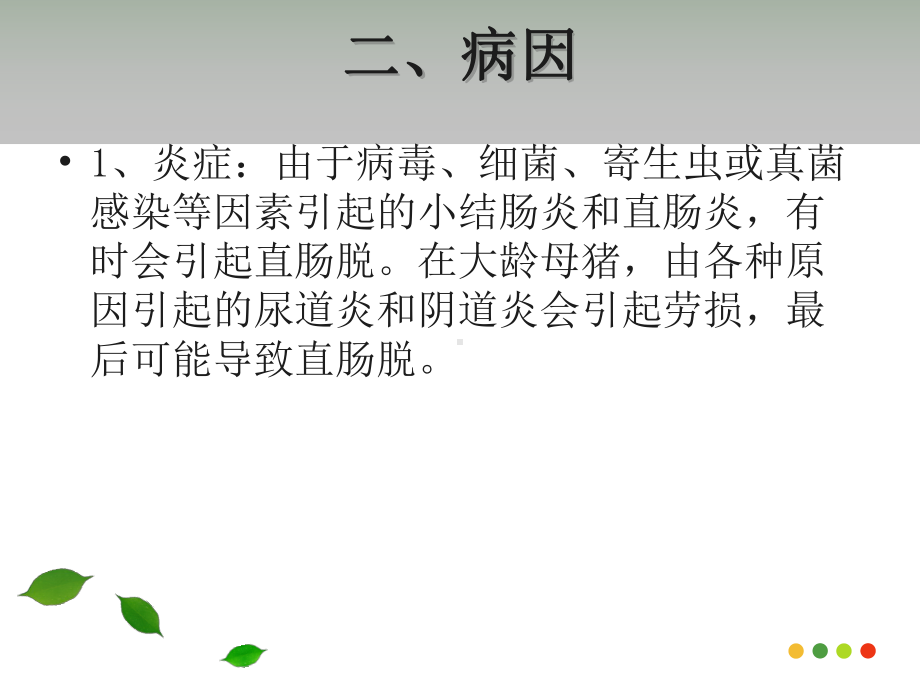 直肠脱教学讲解课件.ppt_第3页