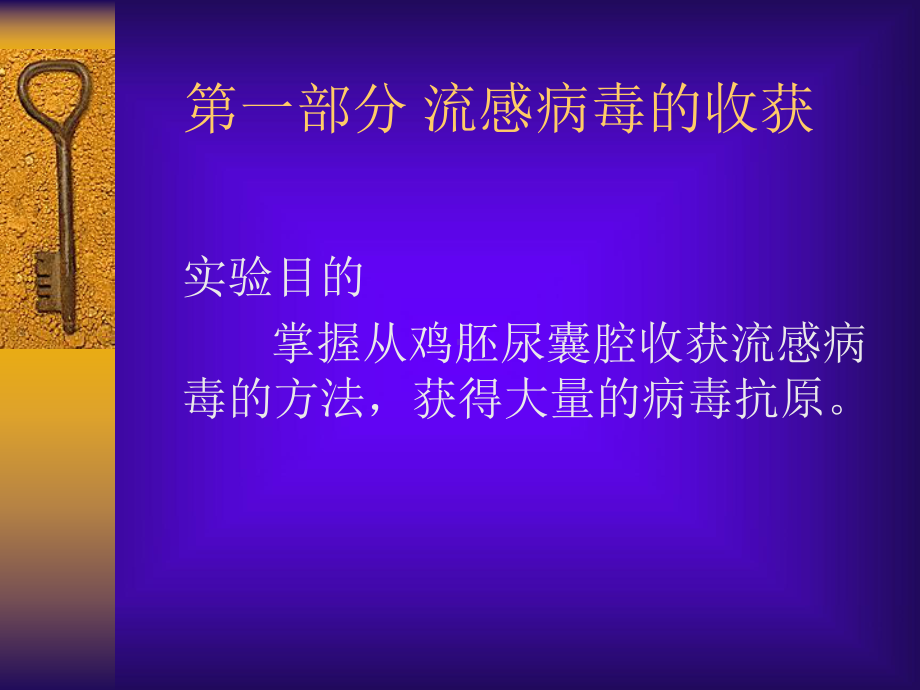 病毒学实验第三次课-流感病毒的收获及血凝效价测定课件.ppt_第2页