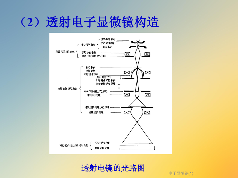 电子显微镜课件1.ppt_第3页