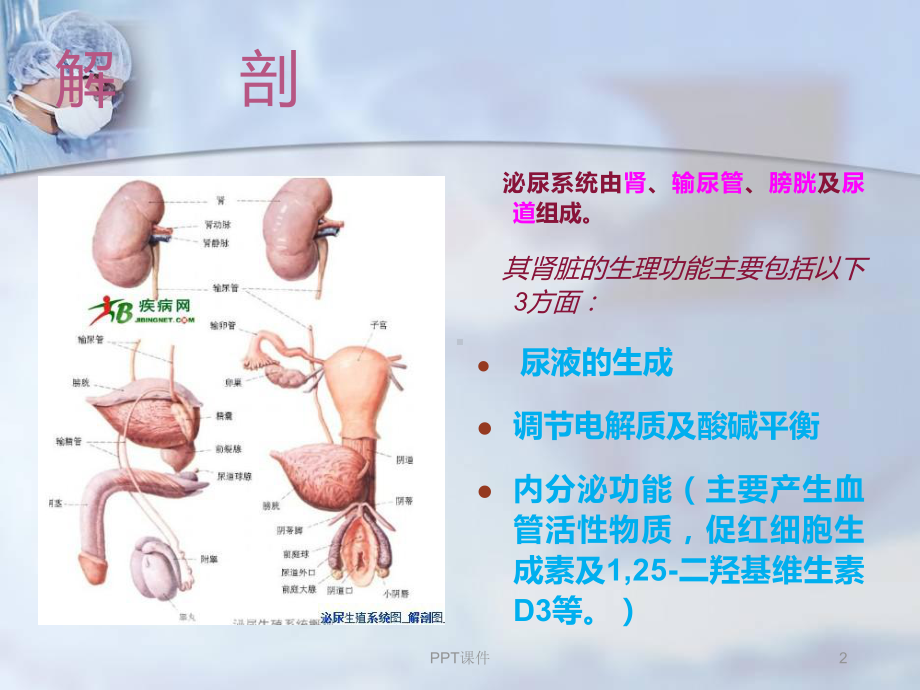 肾损伤病人的护理--课件-课件.ppt_第2页