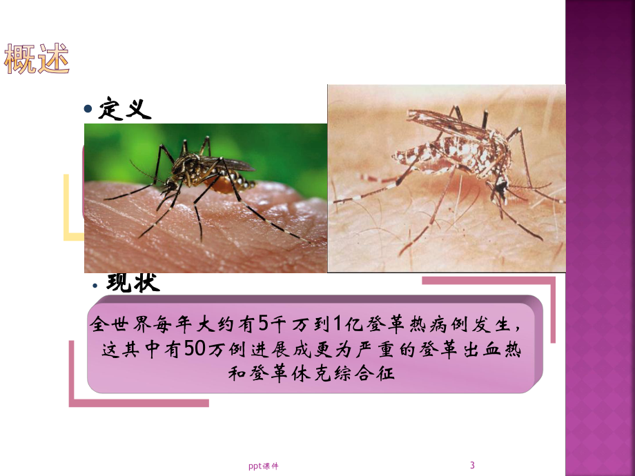 登革热护理-课件.ppt_第3页