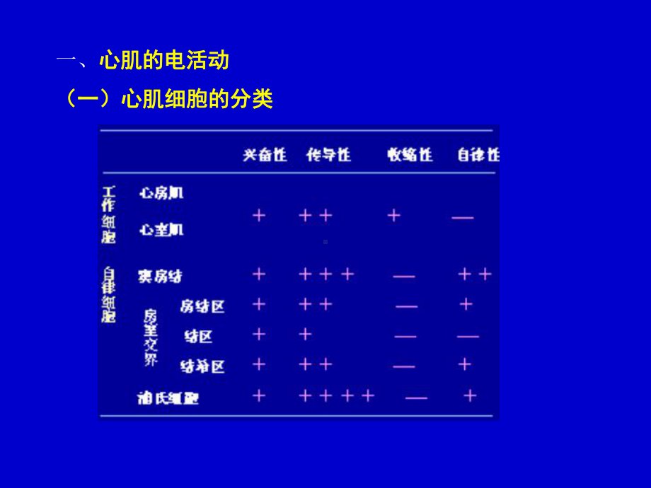 第九章-血液循环课件.ppt_第3页