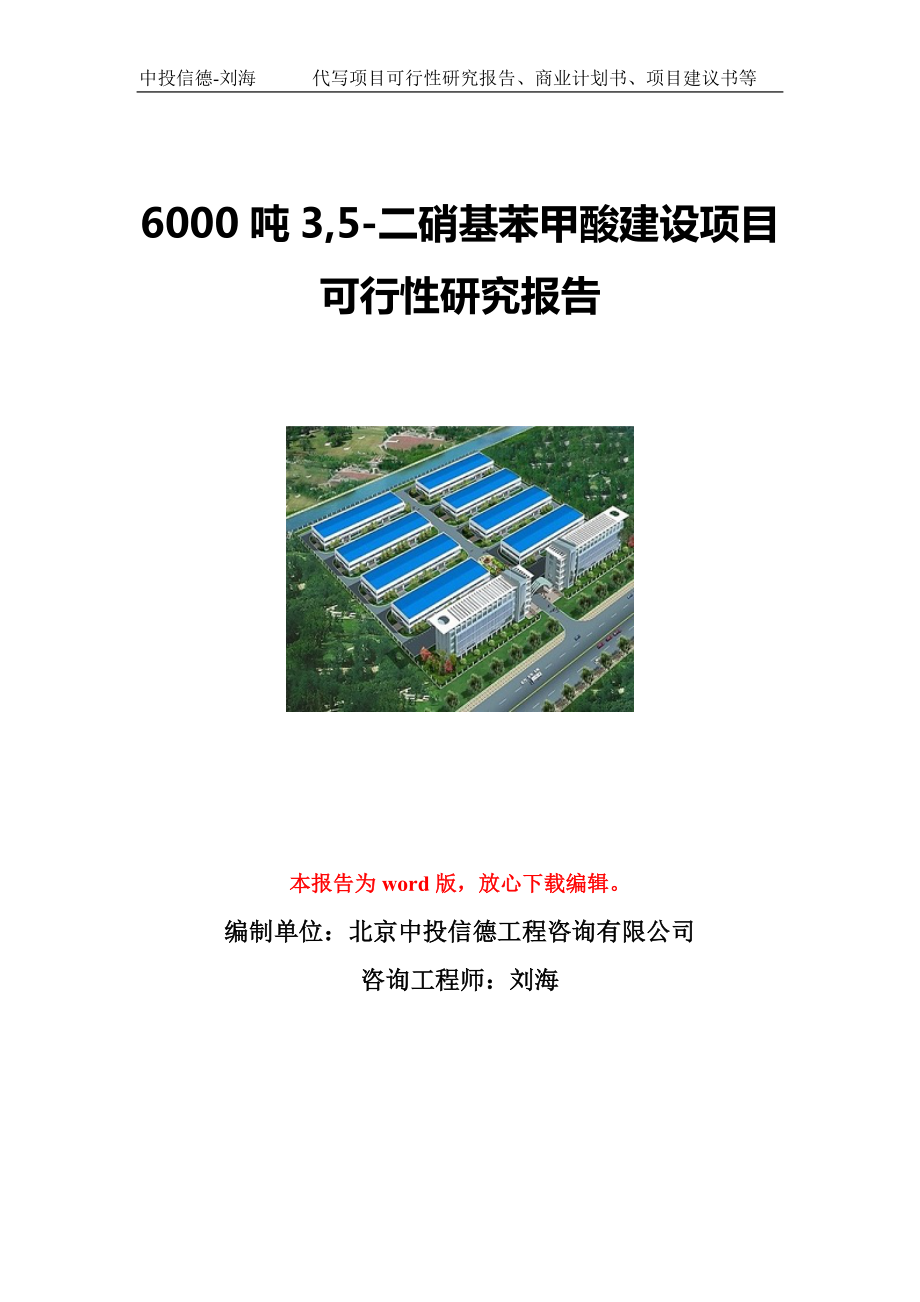 6000吨3,5-二硝基苯甲酸建设项目可行性研究报告写作模板立项备案文件.doc_第1页