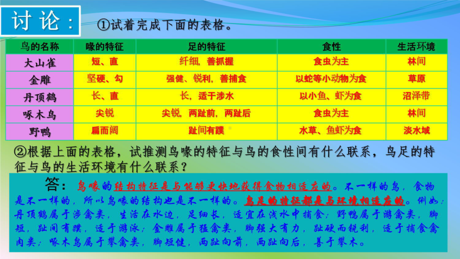 第6-7节-鸟和哺乳动物课件.pptx_第3页