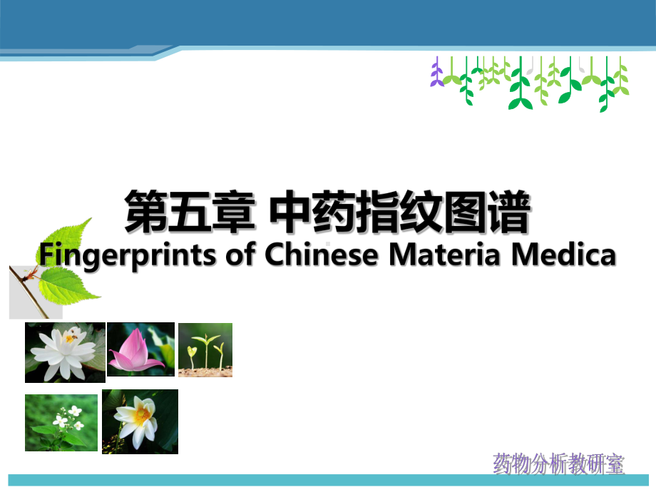 第五章指纹图谱课件.ppt_第1页