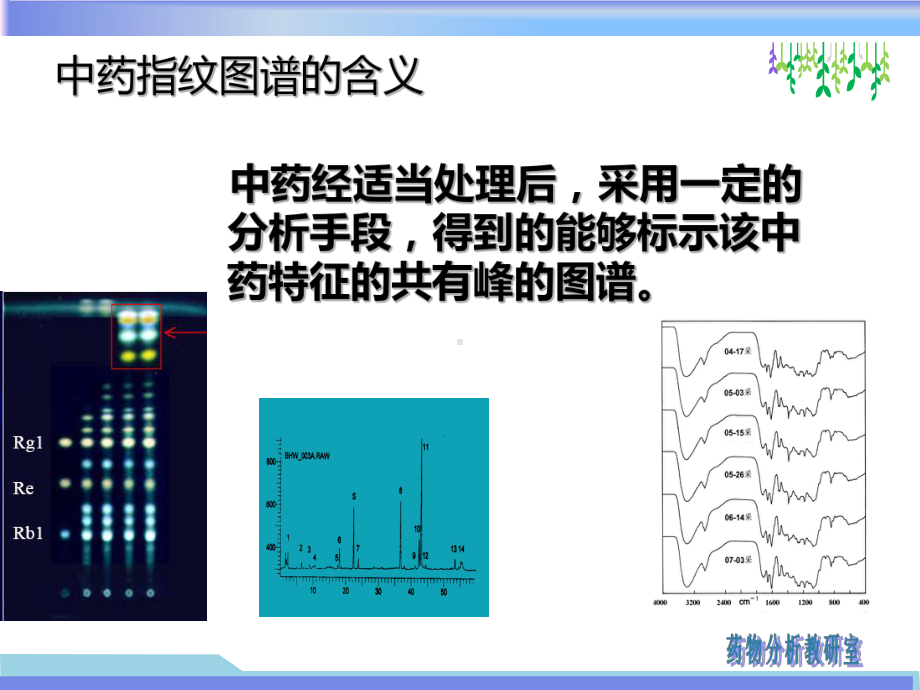 第五章指纹图谱课件.ppt_第3页