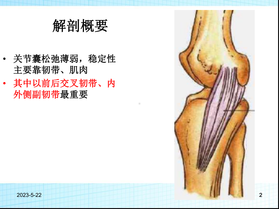 膝关节运动损伤课件.ppt_第2页