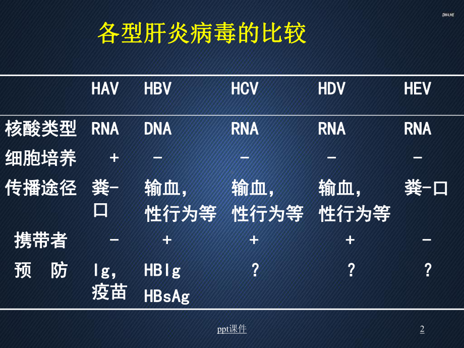 肝炎病毒-课件.ppt_第2页