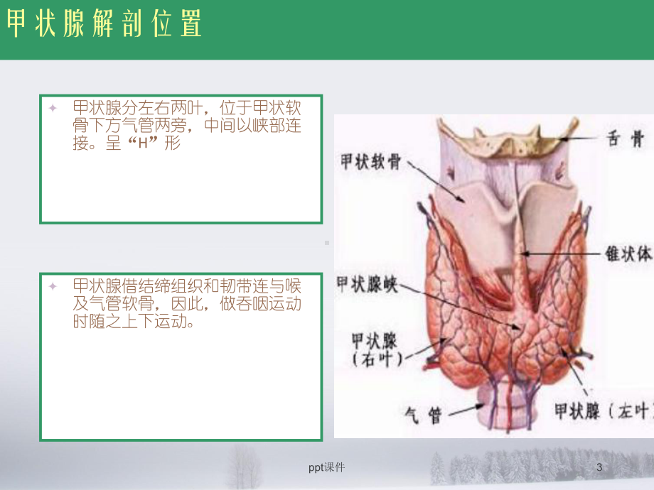 甲状腺切除手术配合-课件.ppt_第3页